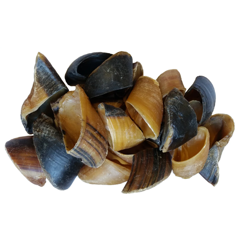 Cow Hooves, 50-PK