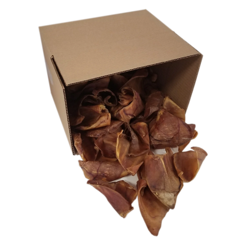 Pig Ears - FULL-SIZE ($1.25/Unit), 25-Pk