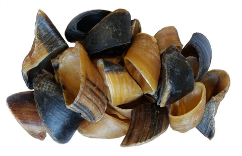 Cow Hooves, 50-PK