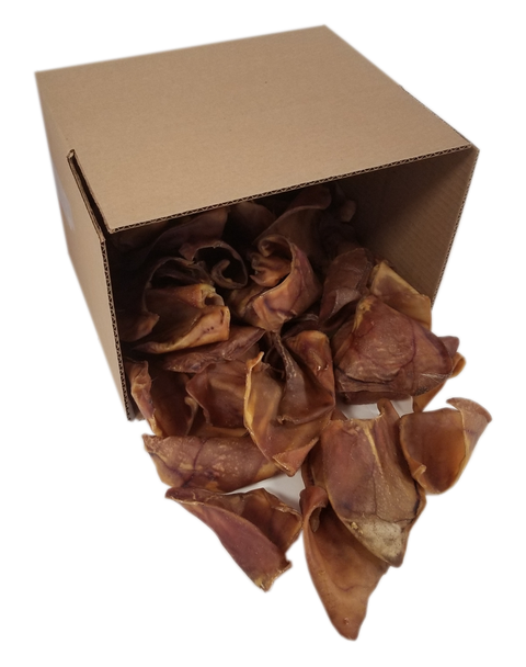 Pig Ears - FULL-SIZE ($1.25/Unit), 25-Pk