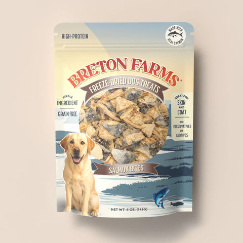Salmon Bites Freeze Dried (5oz)