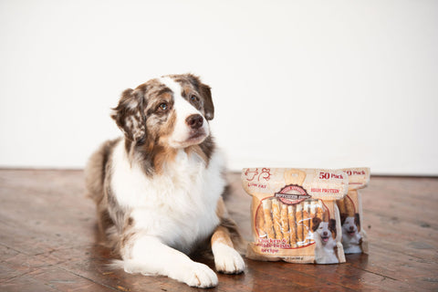 Your dog's new favorite!